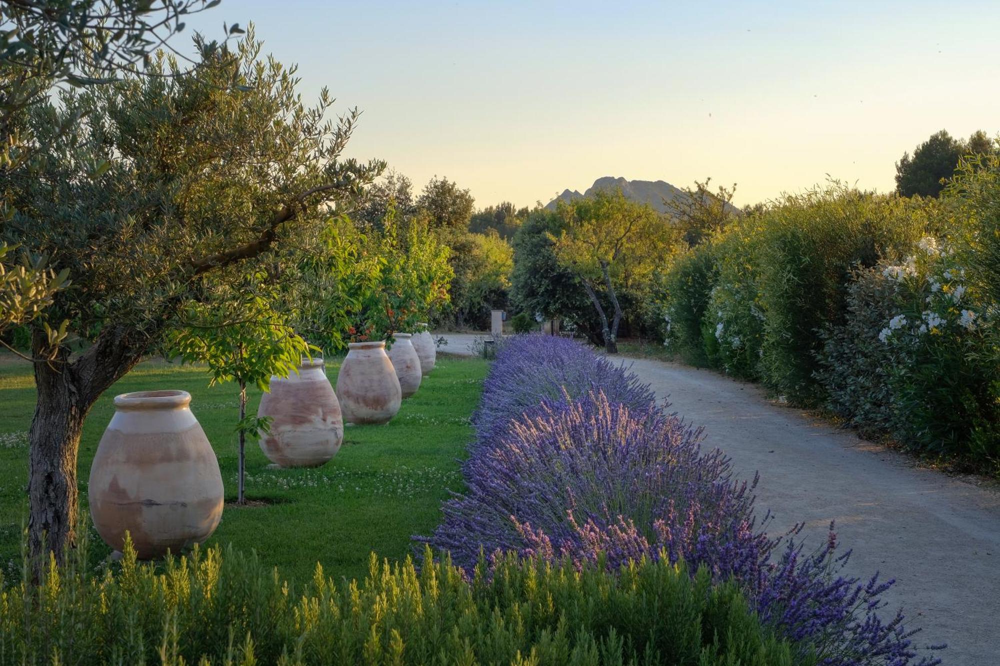 Eygalières Mas Notre Dame B&B 외부 사진